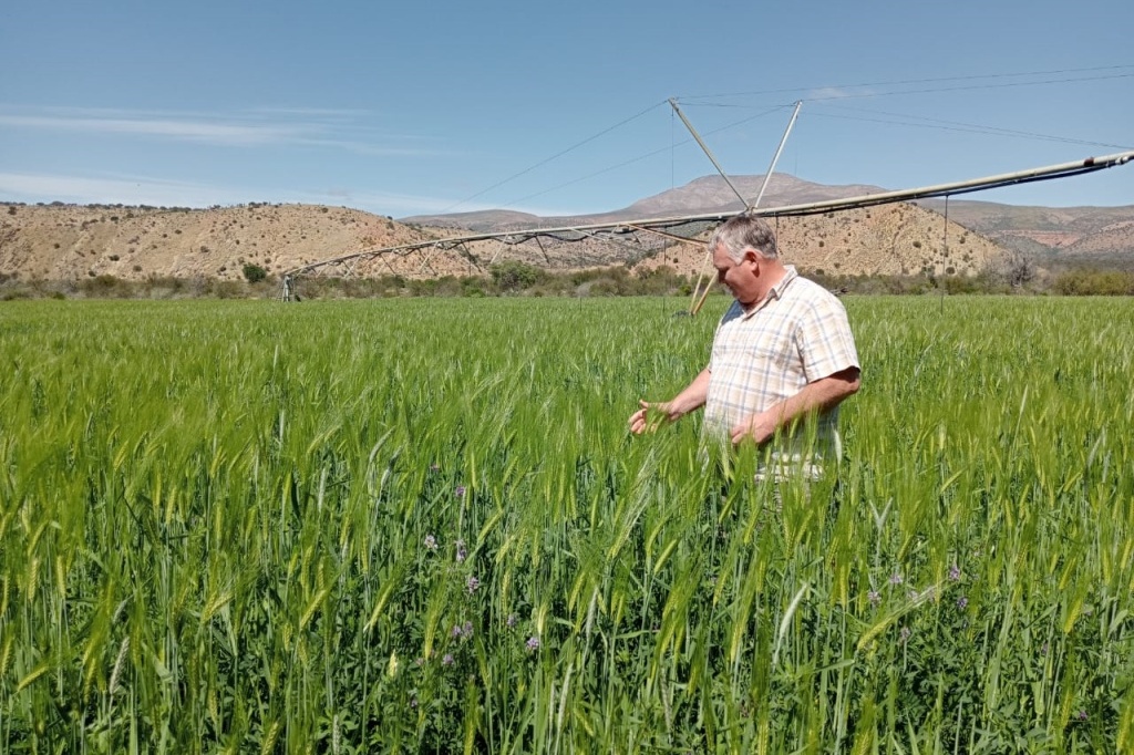 Working farm - barley & lucerne land resi